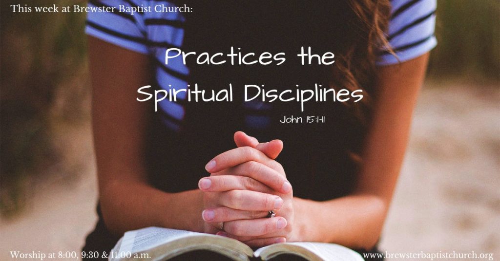 Young woman studies Bible