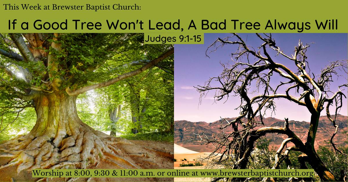 If A Good Tree Won't Lead, A Bad Tree Always Will - Brewster Baptist Church