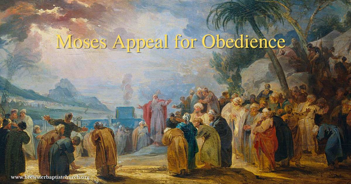 Verse of the Day - August 8 - Brewster Baptist Church