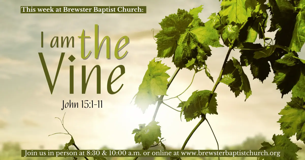 I Am The Vine Brewster Baptist Church