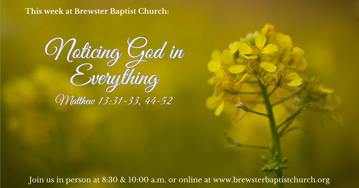 noticing-god-in-everything-brewster-baptist-church