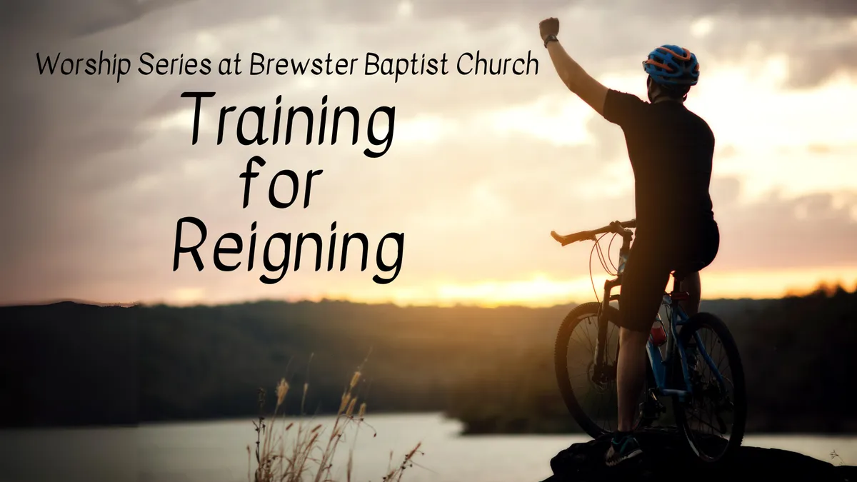 Cover photo for Training for Reigning series