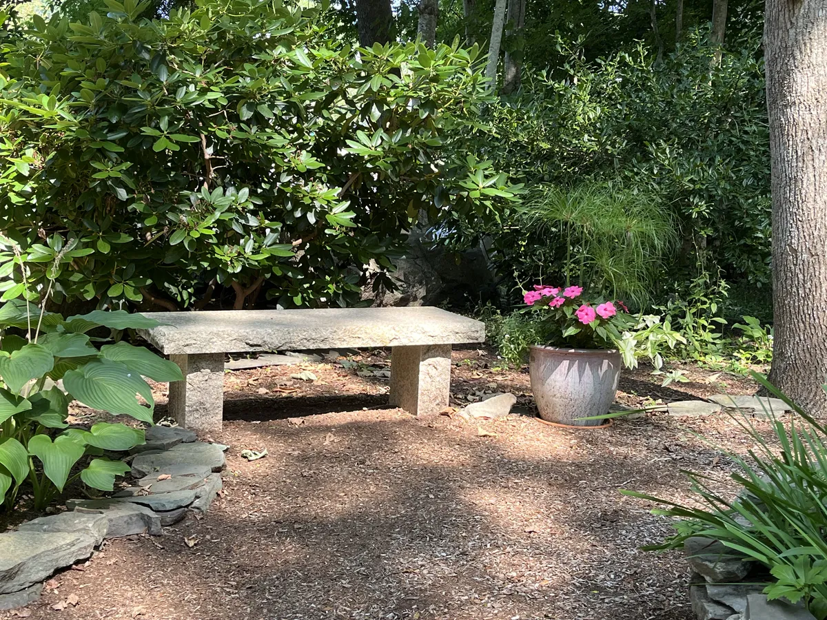 BBC Meditation Garden August