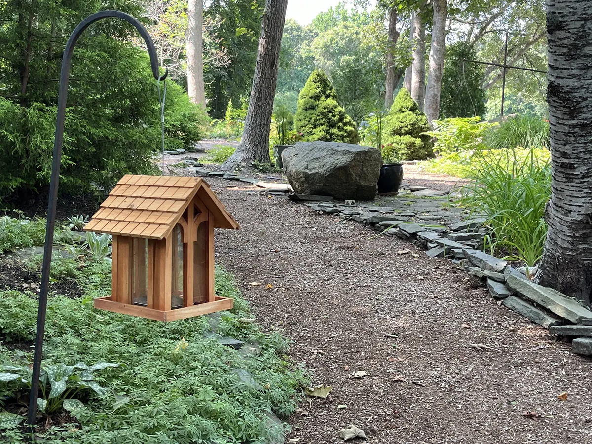 BBC Meditation Garden August_02