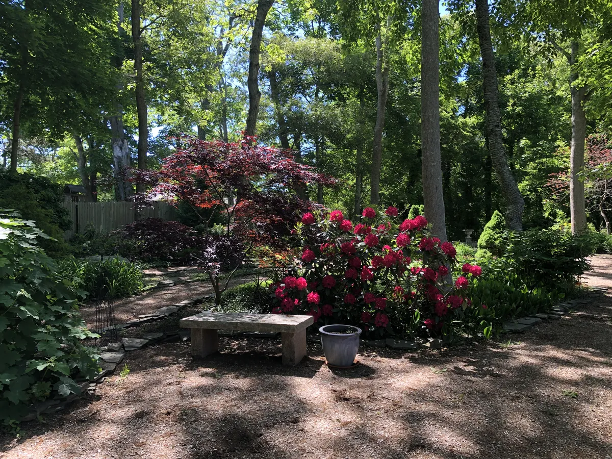 BBC Meditation Garden August_03